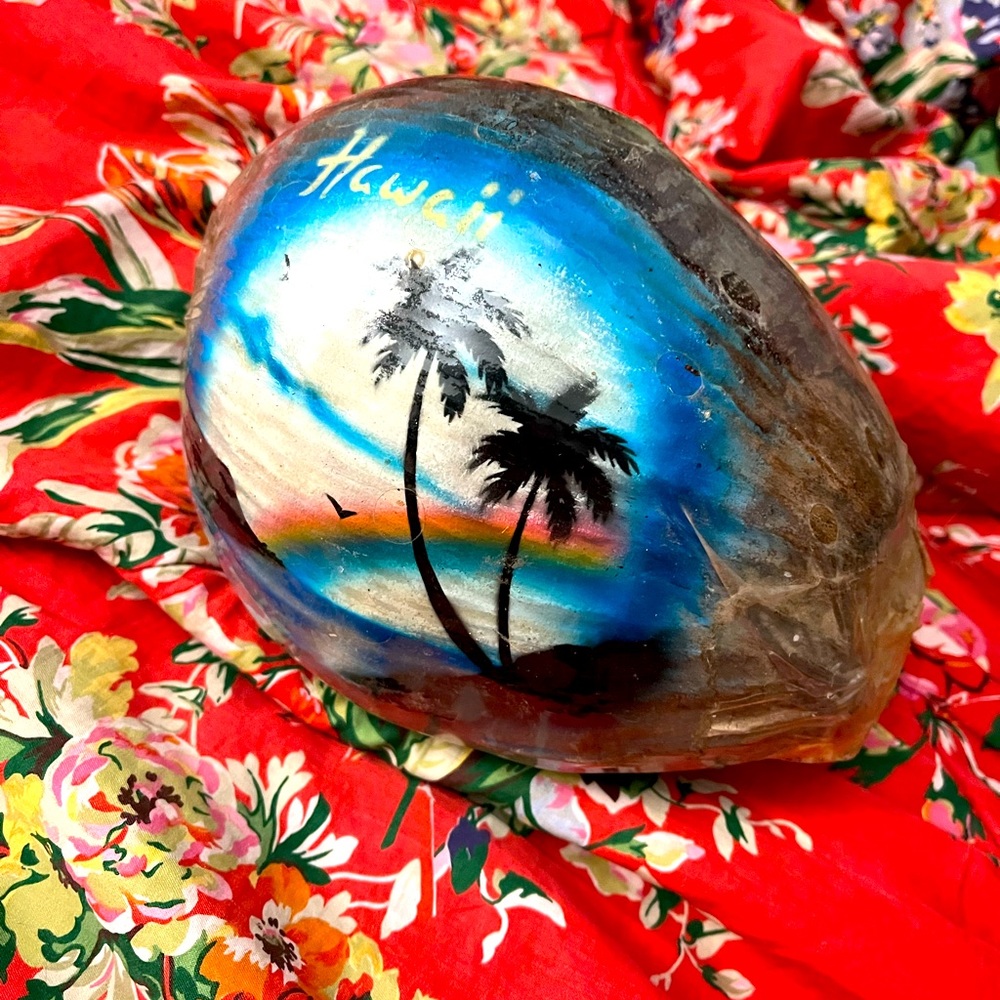 Hawaii Souvenir Coconut Postcard 80s Retro 🌈 🌊  🥥 🌴